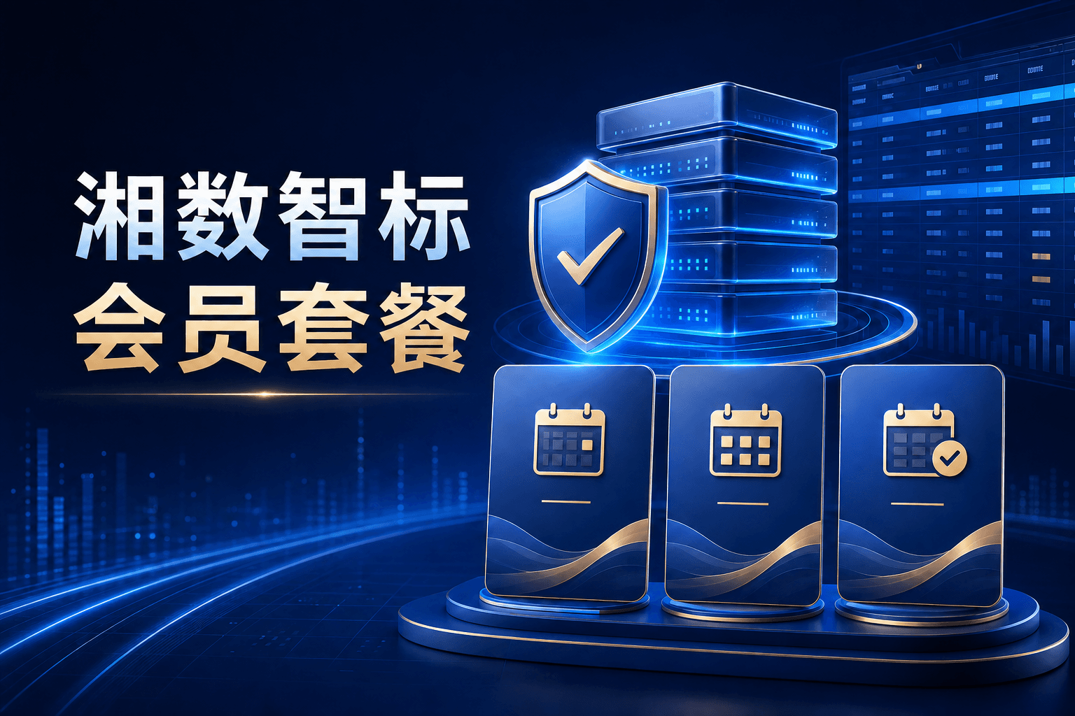 湘数智标会员方案展示